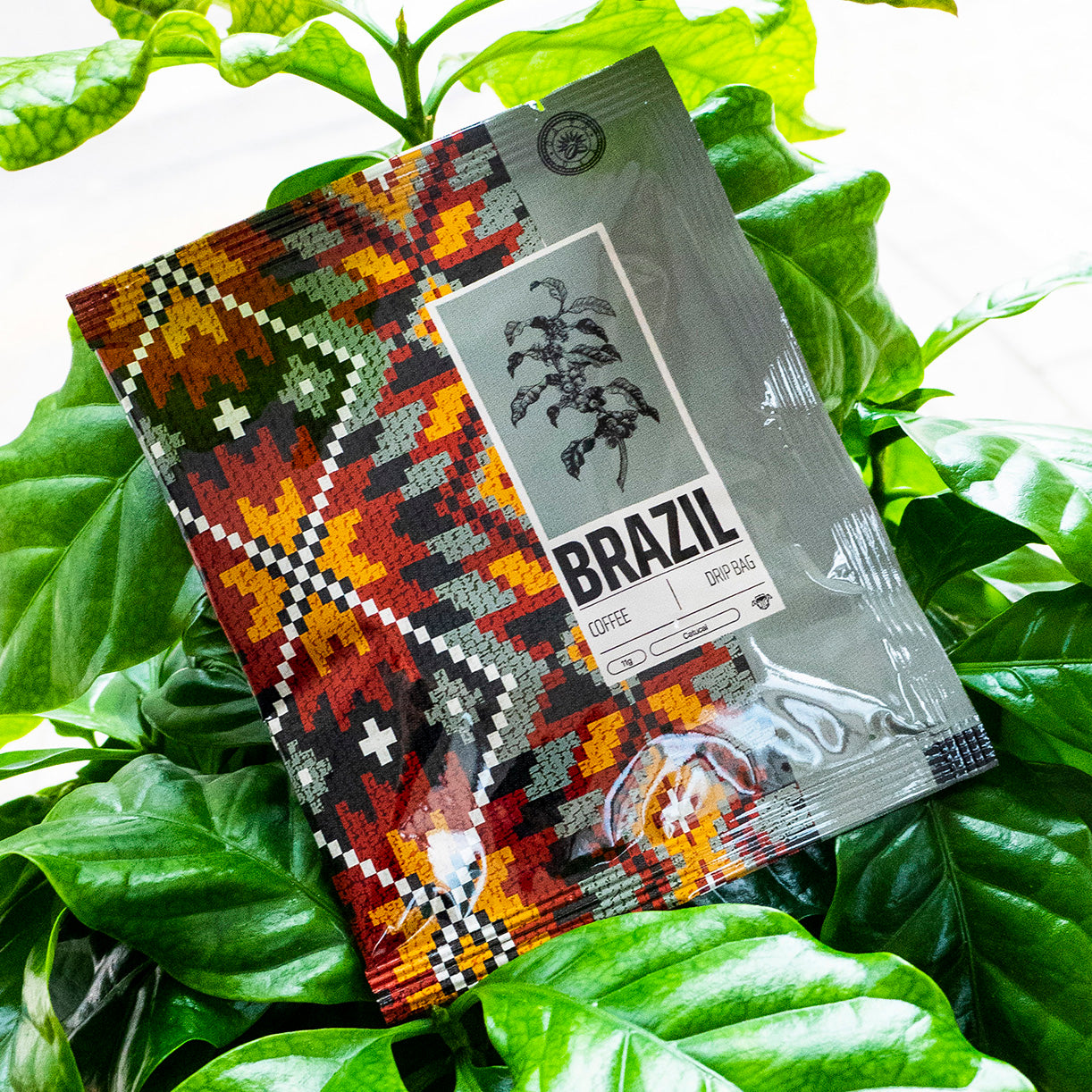 MIX BOX - 11 x 11g Drip Coffee Bags